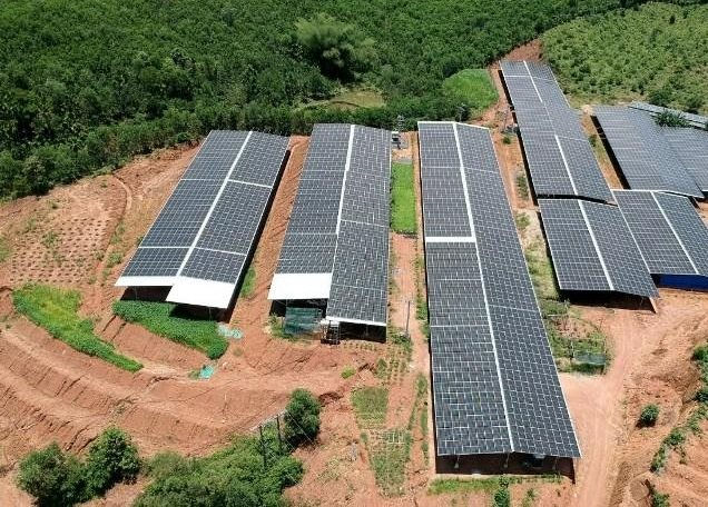 Quảng Ngãi cần tăng cường công tác quản lý các “trang trại điện mặt trời”