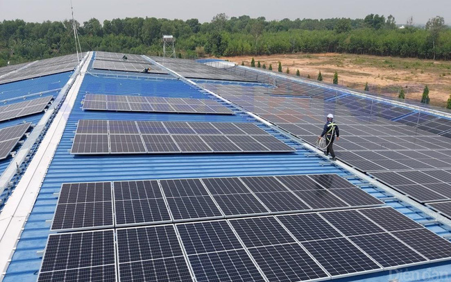 Quảng Trị: Chấp thuận chủ trương dự án trang trại kết hợp điện mặt trời áp mái hơn 842 tỷ đồng